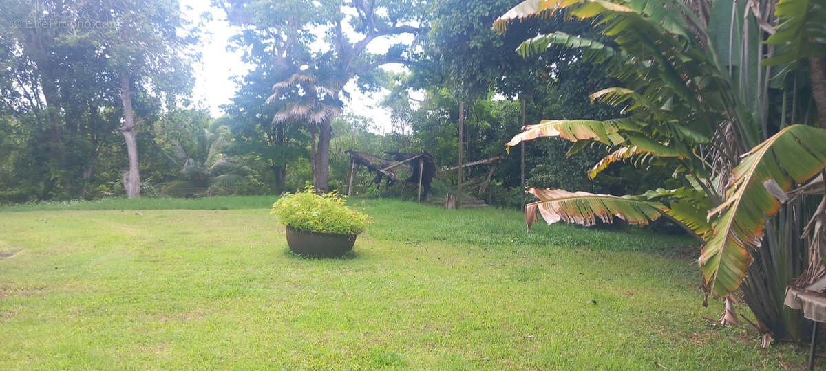 Maison à LES ABYMES