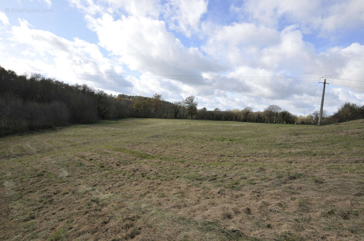 Terrain à VICQ-SUR-BREUILH