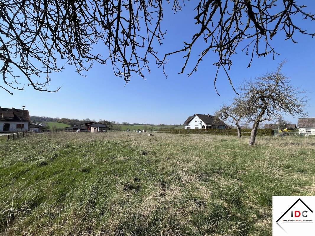 Terrain à ASSWILLER