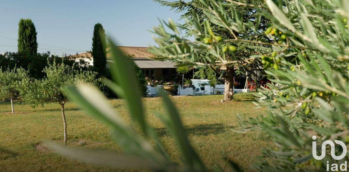 Photo 2 - Commerce à PUJAUT