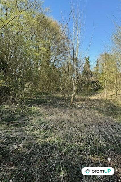 Terrain à BUIRE-COURCELLES