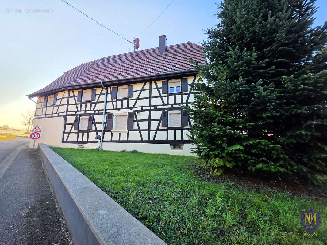 Bettendorf centre village maison alsacienne rénovée de 231 m2 sur 7,60 ares de terrain - photo 10