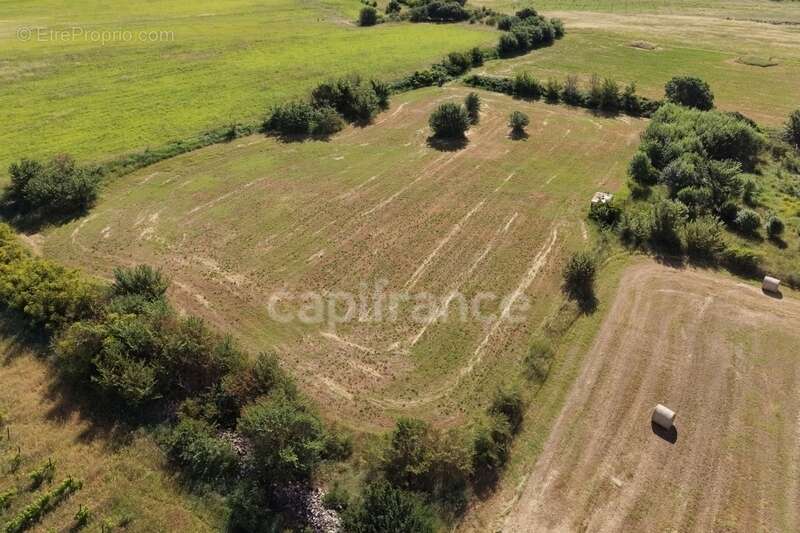Parcelles agricoles 12 000 m² - JUNAS (GARD) - photo 2