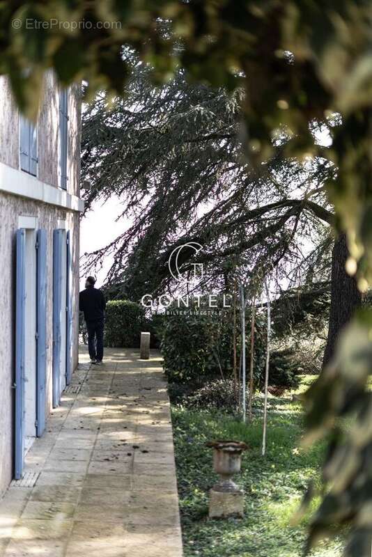Maison à SAINT-CYR-AU-MONT-D'OR