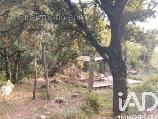 Photo 2 - Maison à BARGEMON