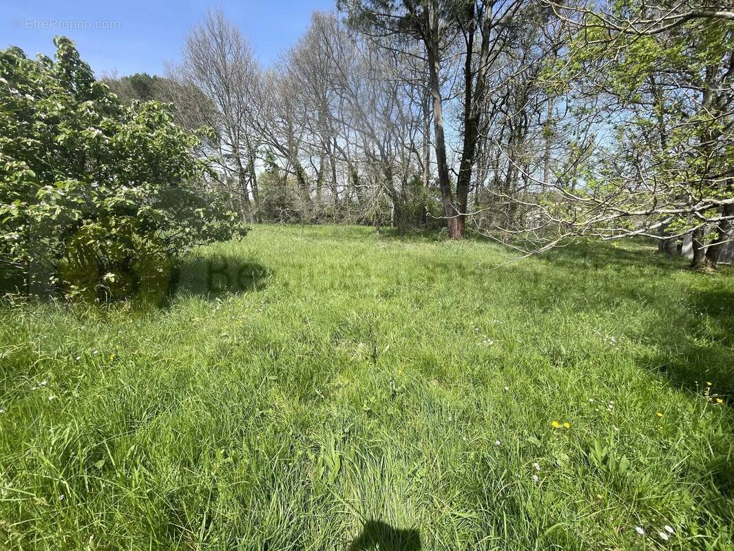 Terrain à PIBRAC