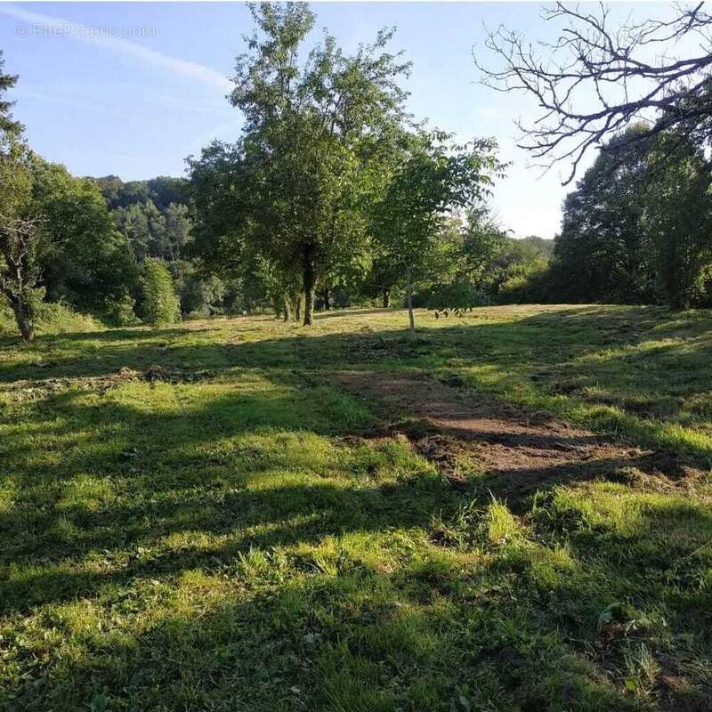 Maison à SAINT-BONNET-BRIANCE