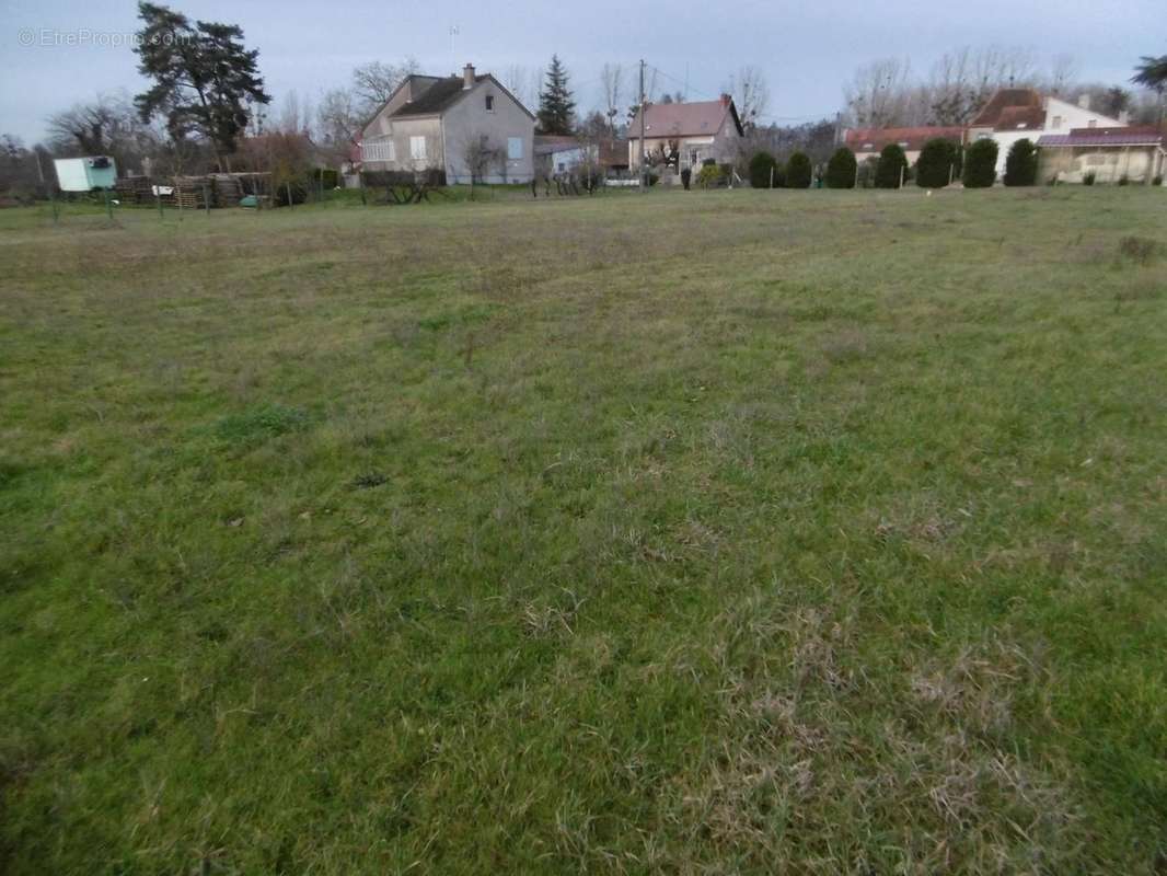 Terrain à MOLINET