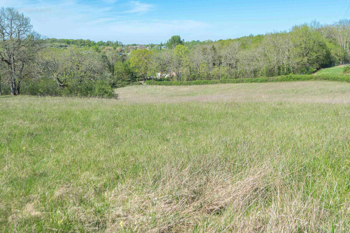 Ancien chateau viticole - potentiel 585 m2 surface habitable - 7 hectares - photo 5