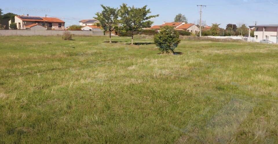 Terrain à PINS-JUSTARET