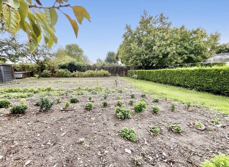 Maison à GRANZAY-GRIPT