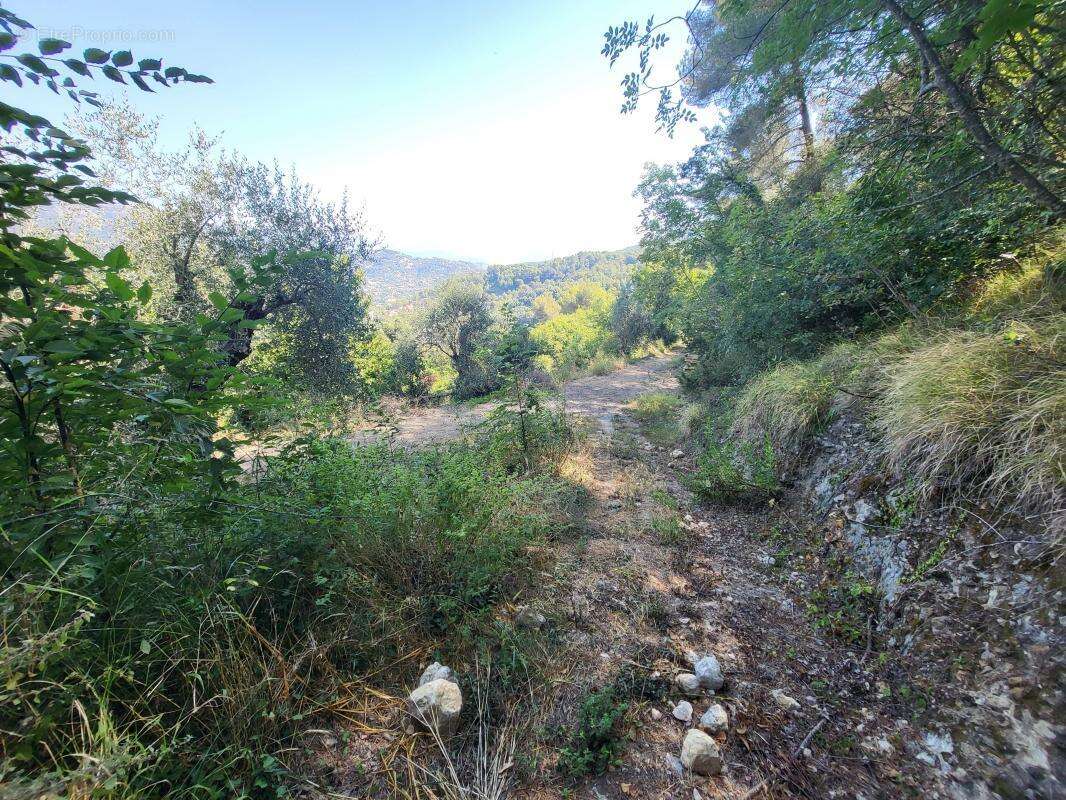 Terrain 16415 m² à La Trinite  - photo 16
