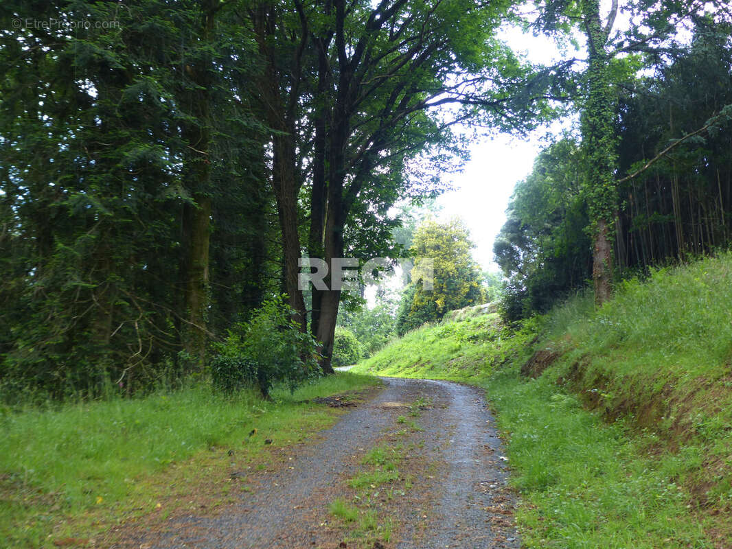 Maison familiale de 144 m2 dans un écrin de verdure, sans vis à vis - photo 15