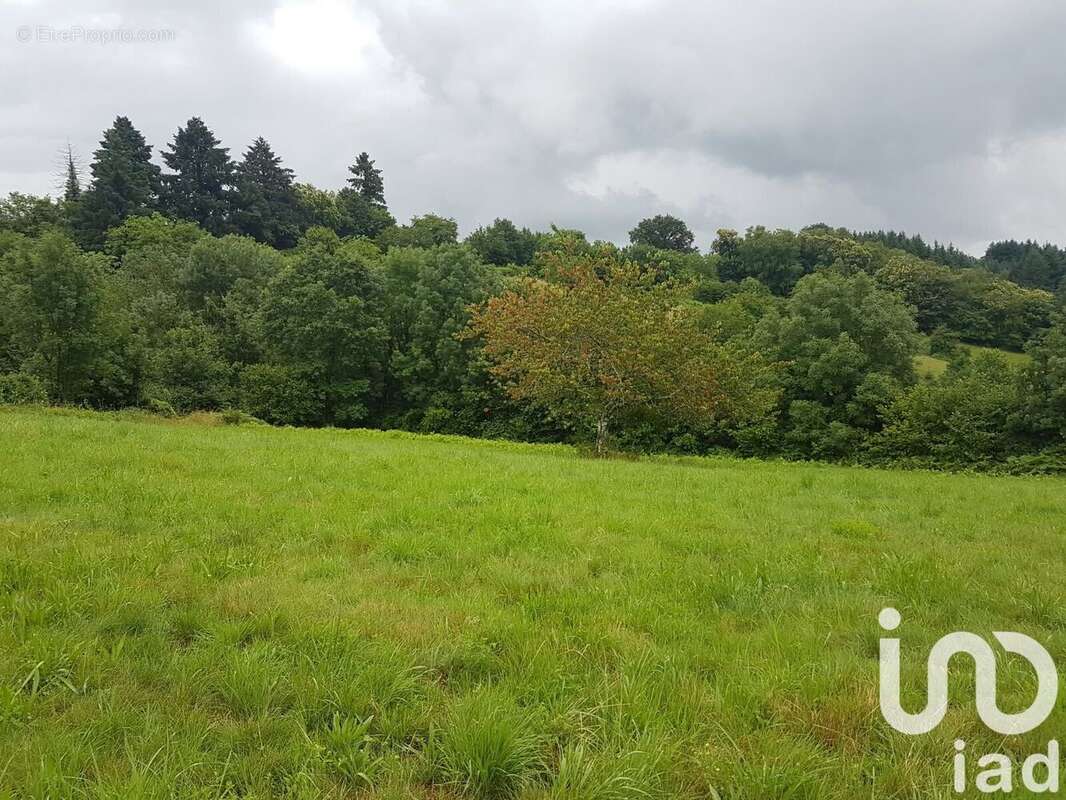 Photo 4 - Terrain à BEAUMONT