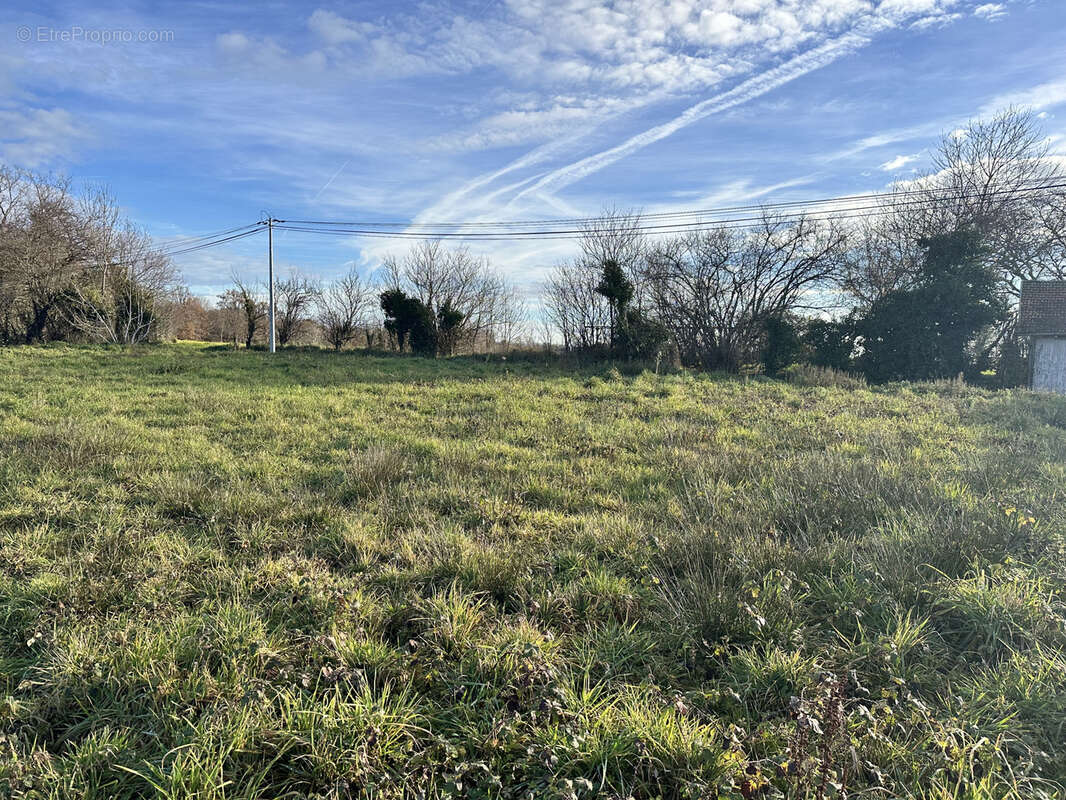 Terrain à LES ALBRES