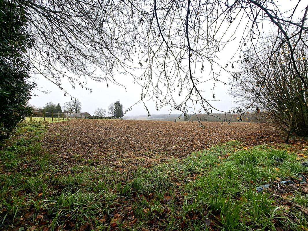 Terrain à REGUINY