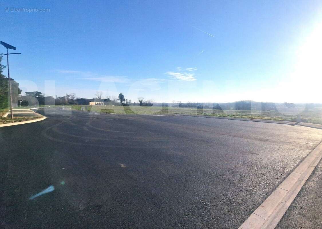 20250217_165216 - Terrain à CASTELSARRASIN