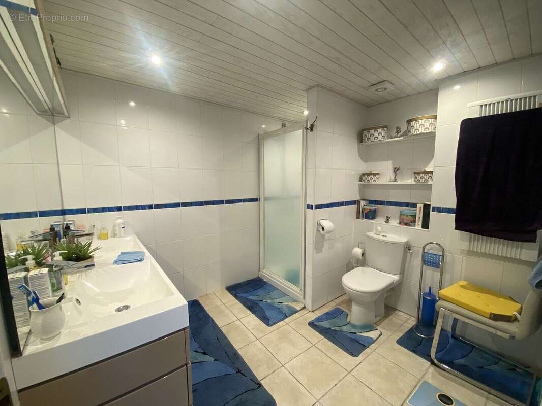 salle d'eau aile gauche