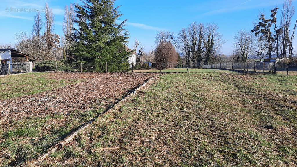 Terrain à TAVANT