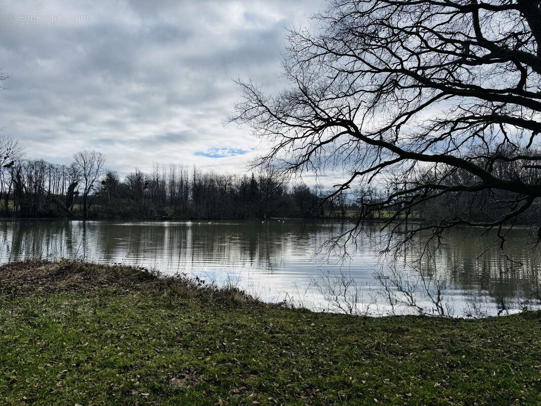 Terrain à LA CHAUX-EN-BRESSE