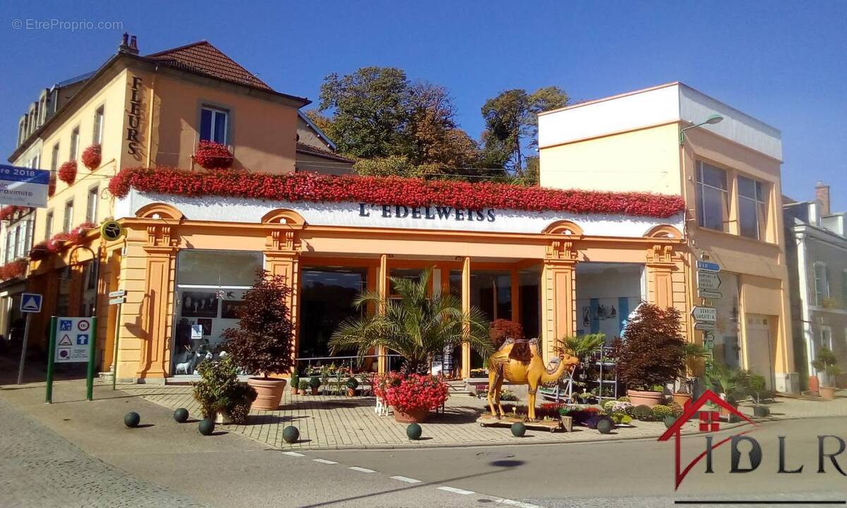 Appartement à BOURBONNE-LES-BAINS
