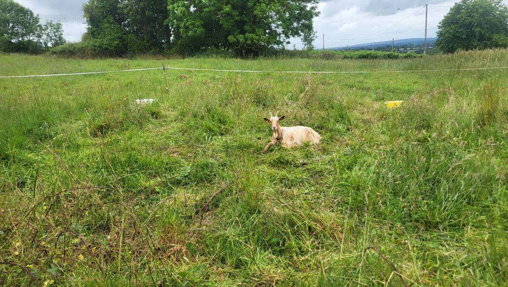 Maison à PONT-FARCY
