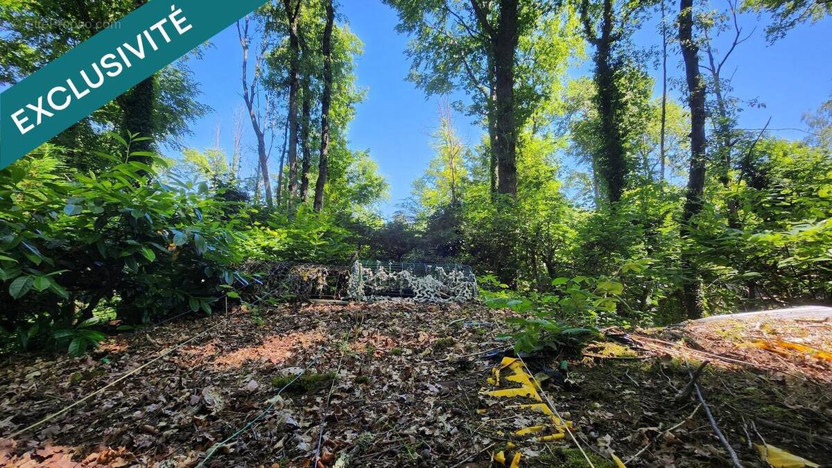 Photo 1 - Terrain à CAZAUBON