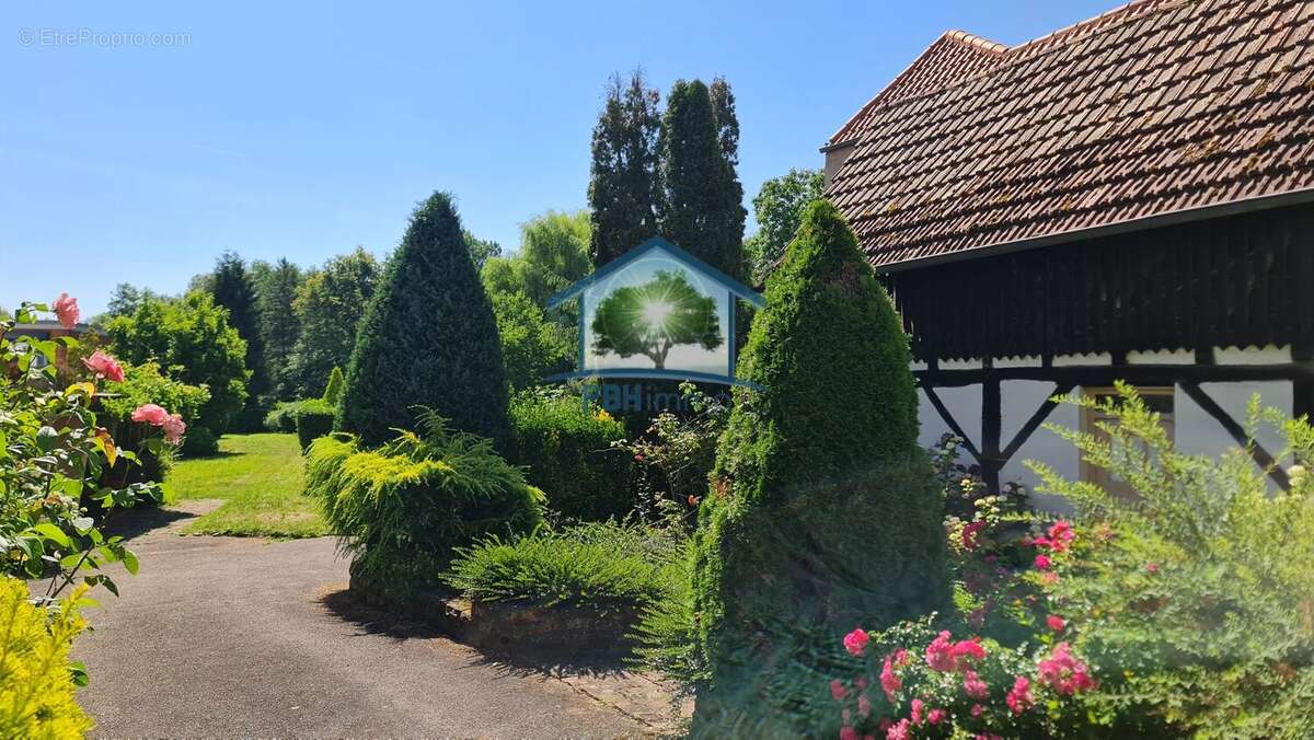 Maison à MERTZWILLER