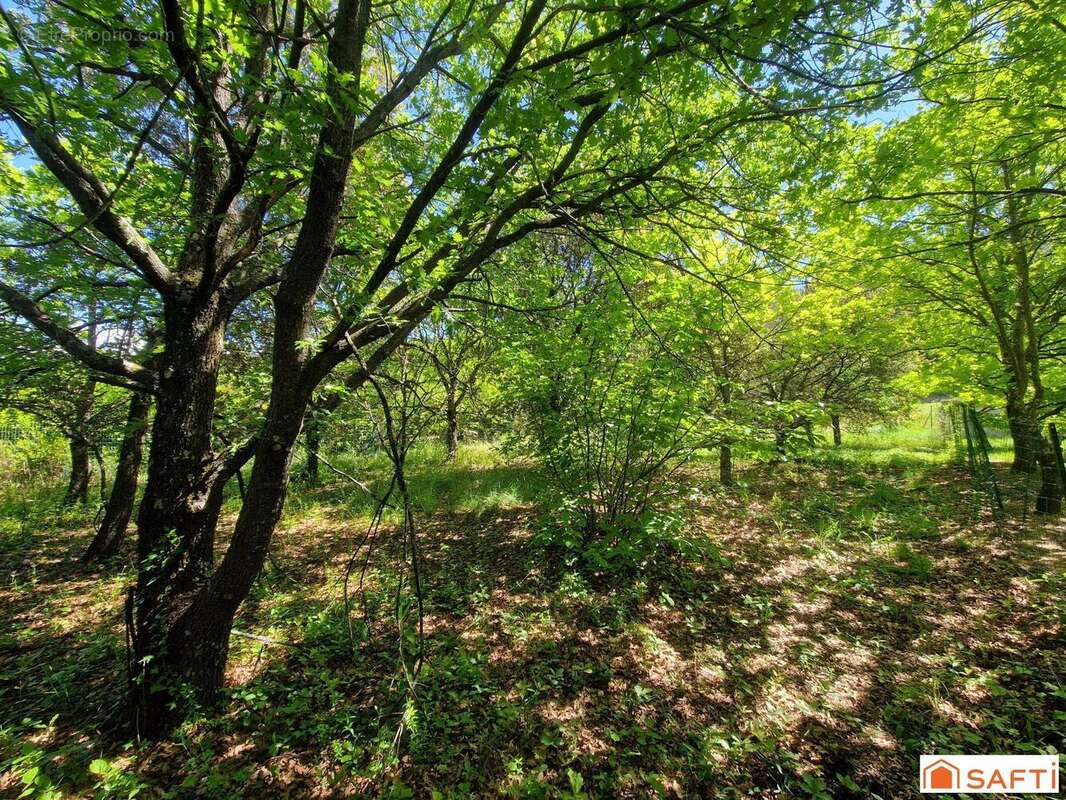 Photo 9 - Maison à APT