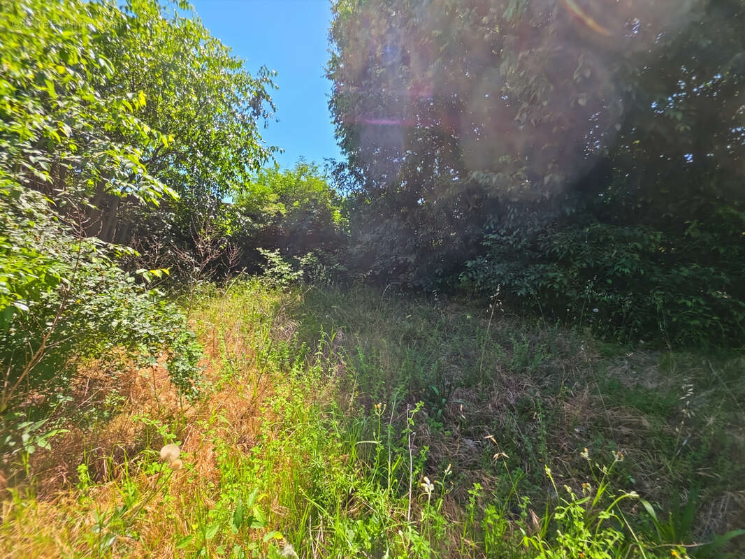 Terrain à BEAUCAIRE