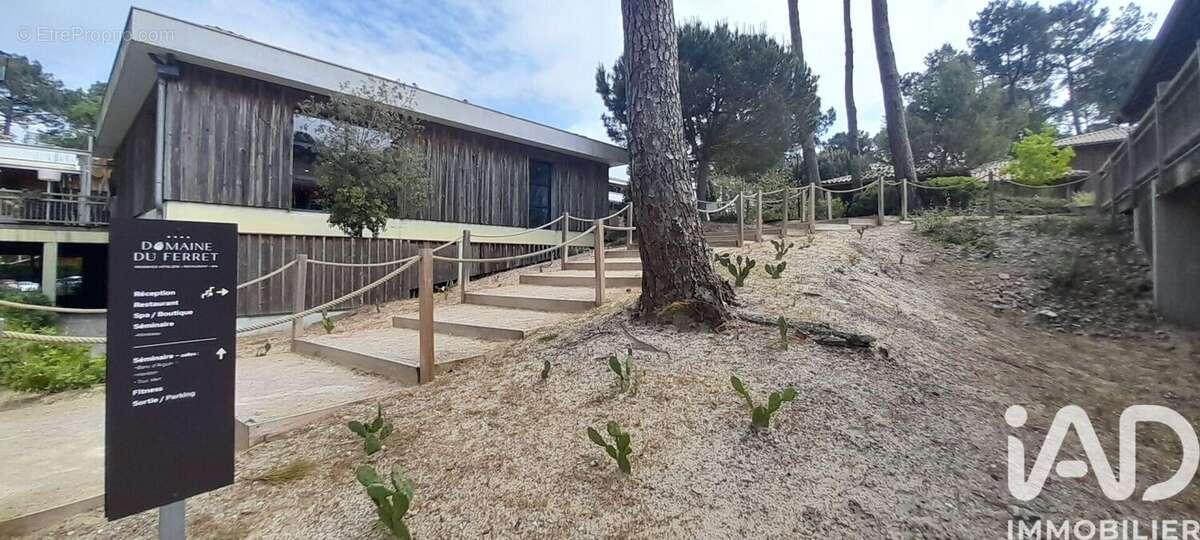 Photo 3 - Appartement à LEGE-CAP-FERRET
