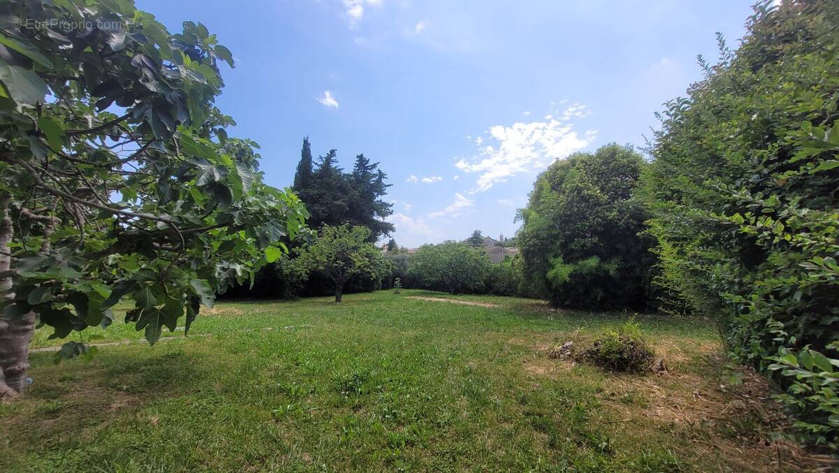Photo 1 - Terrain à LA COLLE-SUR-LOUP