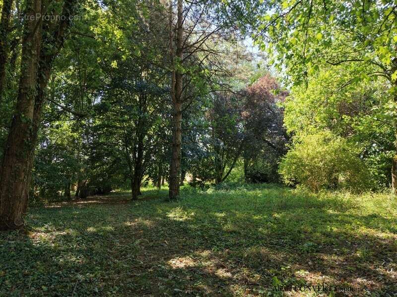 Maison à vendre 5 pièces, terrain 3420m² de calme à CORMOZ (01) - photo 11
