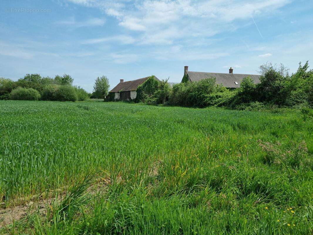 Maison à BOUZY-LA-FORET