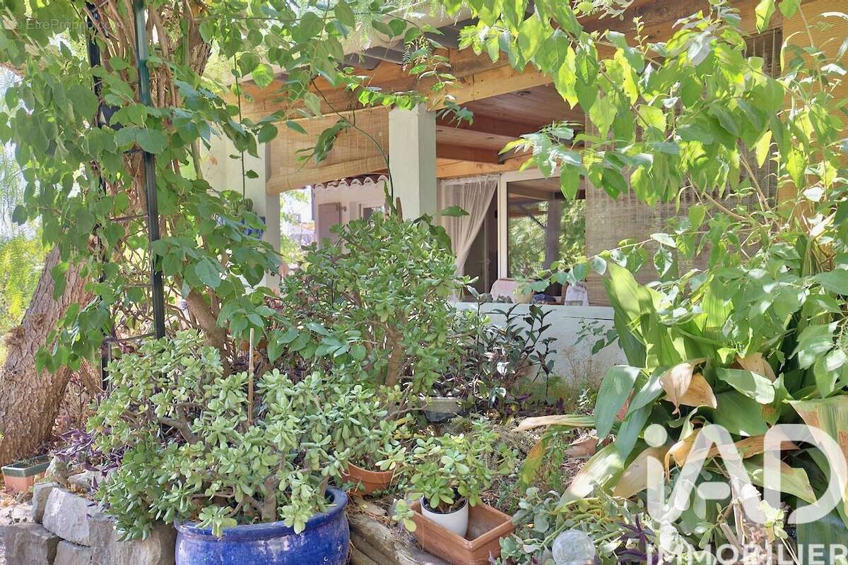 Photo 8 - Maison à CEYRESTE