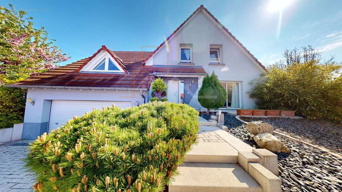 Maison à SELTZ
