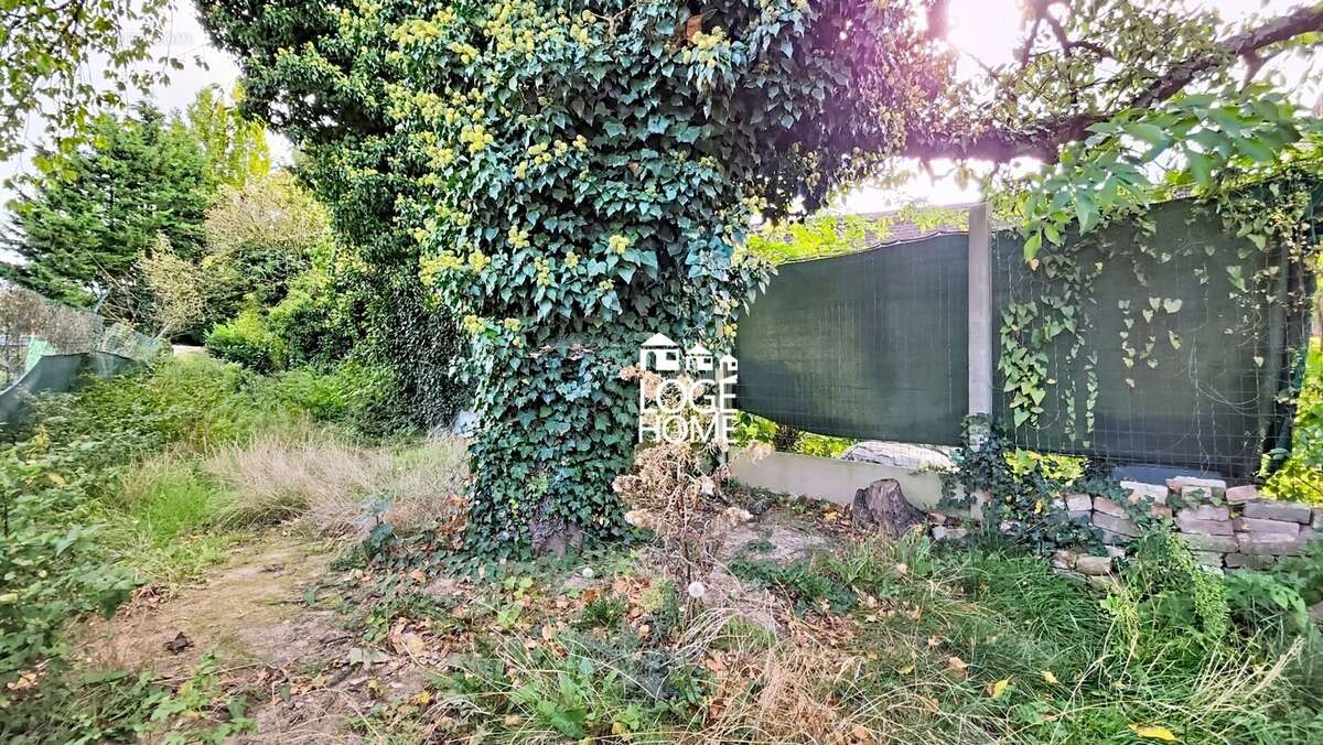 Jardin - Maison à HENIN-BEAUMONT