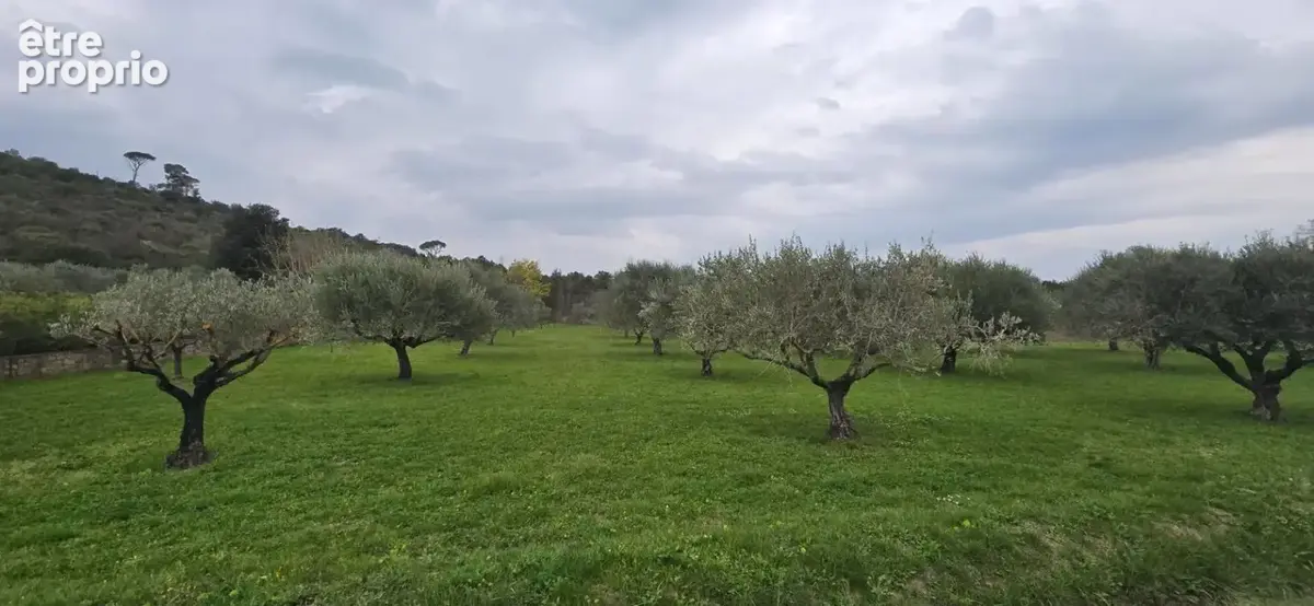 Le muy  authentique cabanon provençal en pierre avec oliveraie de 4392m² - photo 5