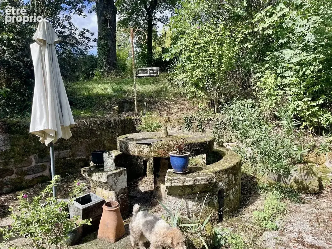 Maison en pierre avec chambres d'hôtes, piscine, gîte et espace bien-être - photo 5