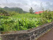 Terrain à LA PLAINE-DES-PALMISTES