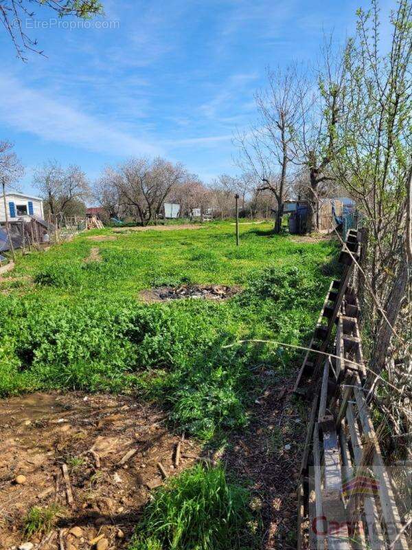 Terrain agricole - photo 2