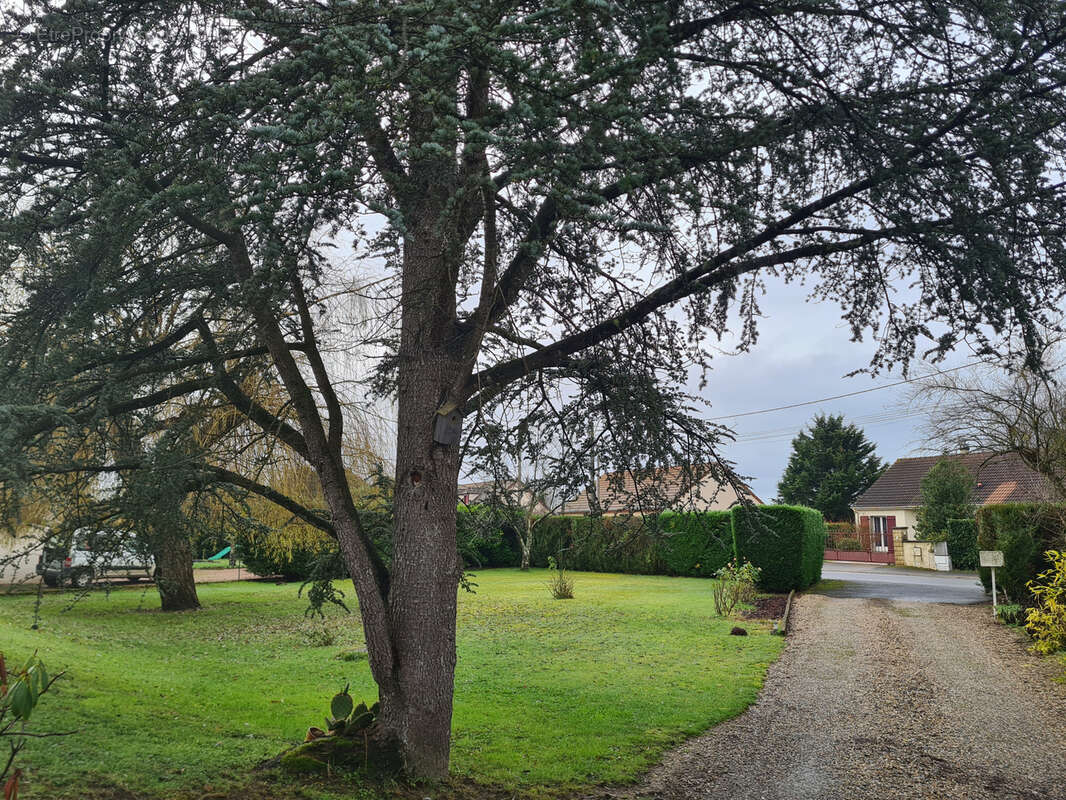 Maison à BESSAY-SUR-ALLIER