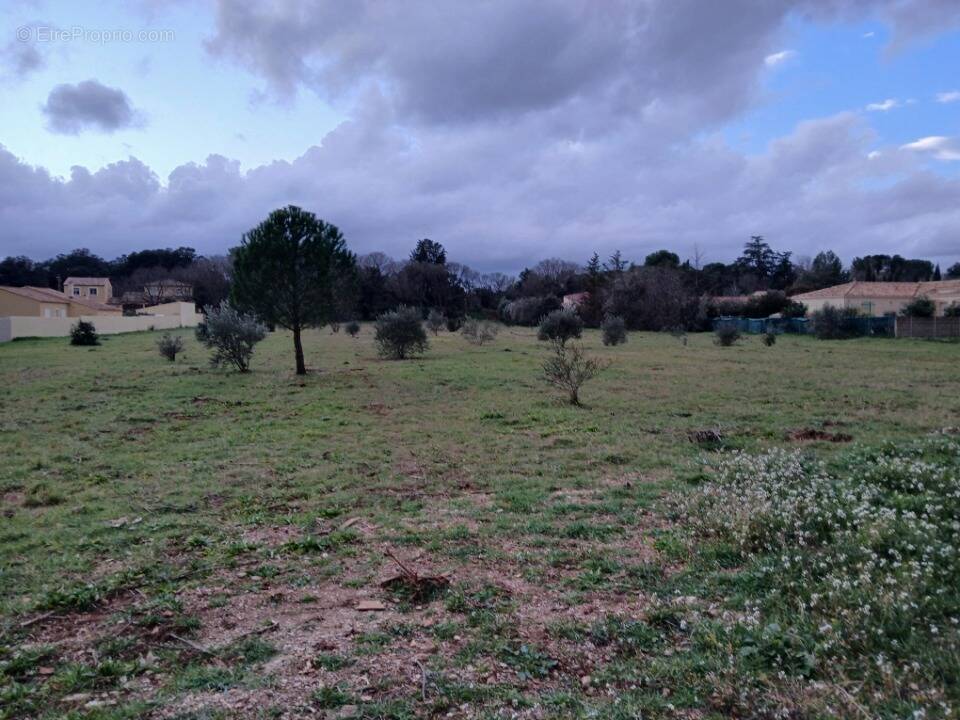 Terrain à CANET