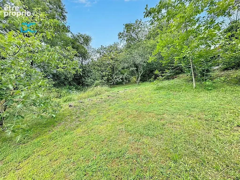 Terrain à vendre - thonon-les-bains (74200) - photo 5