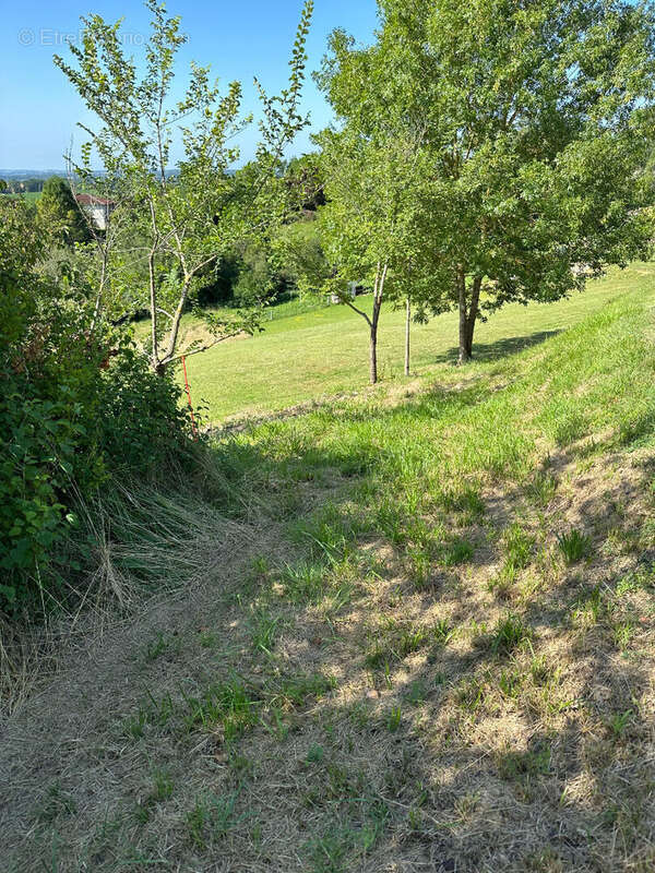 Terrain à MIRAMONT-D'ASTARAC