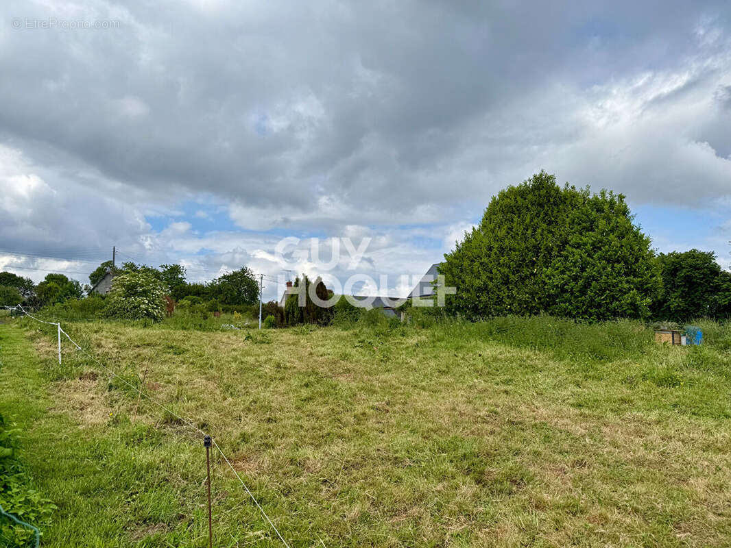 Terrain à SAINT-JAMES
