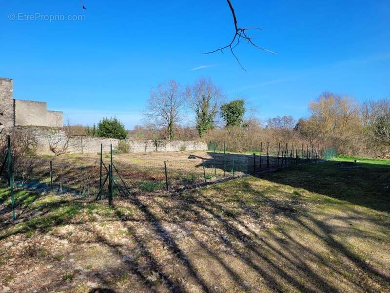 Dpt allier (03) foret de troncais - proche lurcy levis - maison 4 pieces - potager - arbres fruitiers - terrain 3871 m2 - photo 7