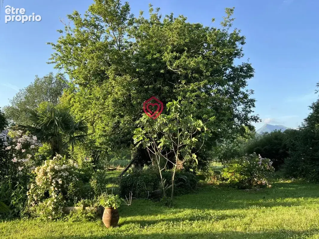 Maison avec galerie d'artiste et 16523m2 terrain - photo 37