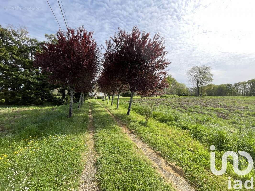 Photo 6 - Maison à CHEPNIERS