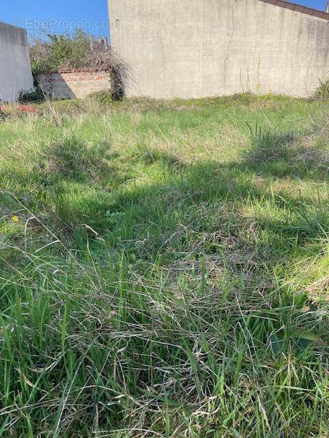Terrain à MONTREUIL